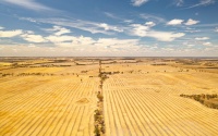 AUS - WE Wheat belt d0215